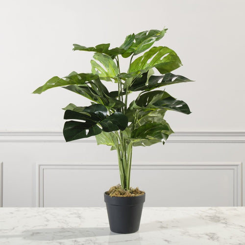 Artificial monstera 60cm.