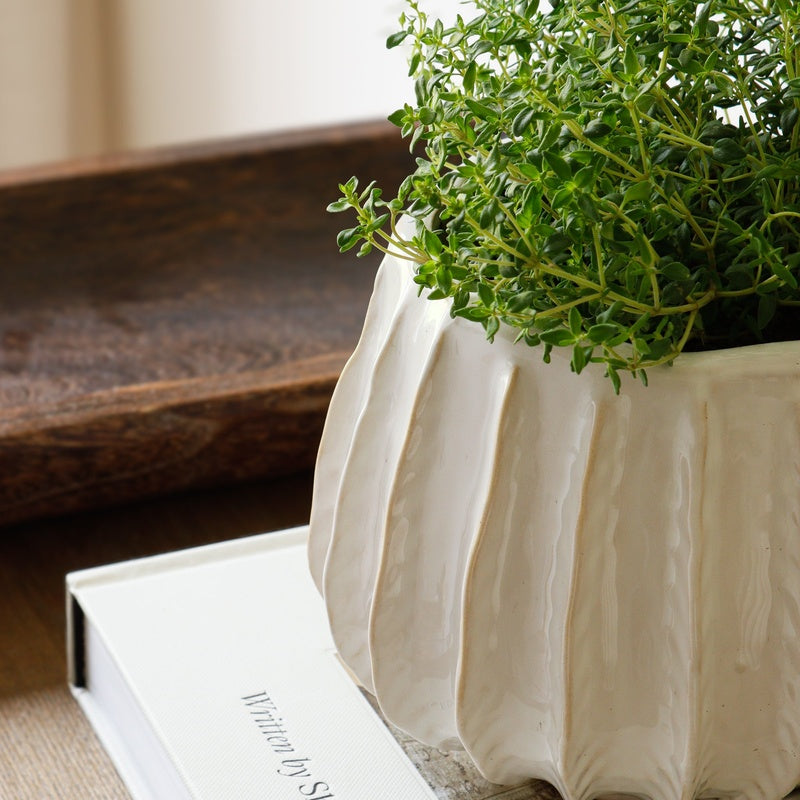 White ribbed planter.