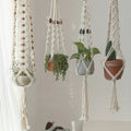 Macrame plant holder.